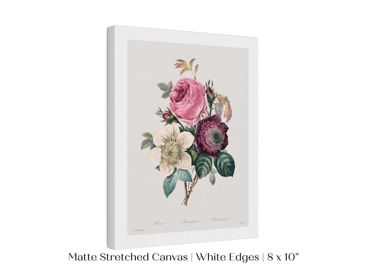 Anemone and Cabbage Rose Illustration | P492 - Single Art Prints - Piccolo Fiore Prints