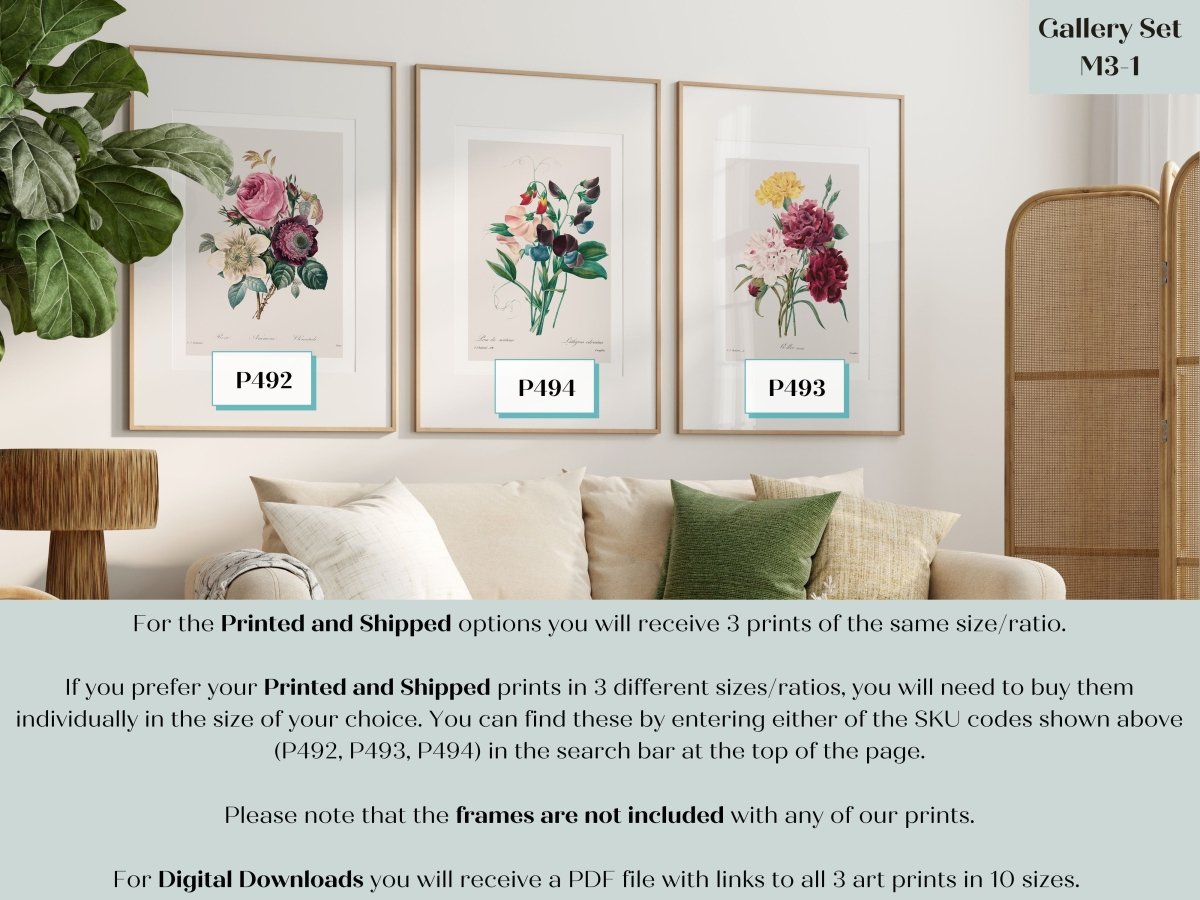 Anemones, Carnations and Sweet Peas | Gallery Wall Set | 3 Prints | M3 - 1 - Gallery Wall Set - Piccolo Fiore Prints
