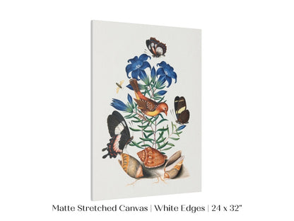 Bird, Shells and Butterflies | P158 - Single Art Prints - Piccolo Fiore Prints