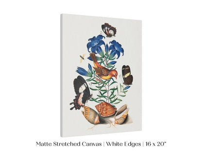 Bird, Shells and Butterflies | P158 - Single Art Prints - Piccolo Fiore Prints
