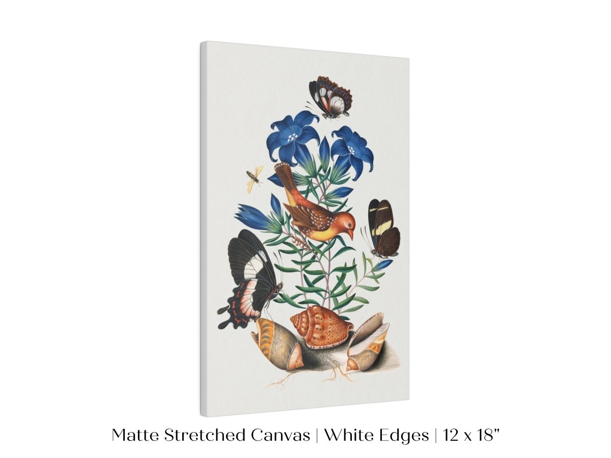 Bird, Shells and Butterflies | P158 - Single Art Prints - Piccolo Fiore Prints