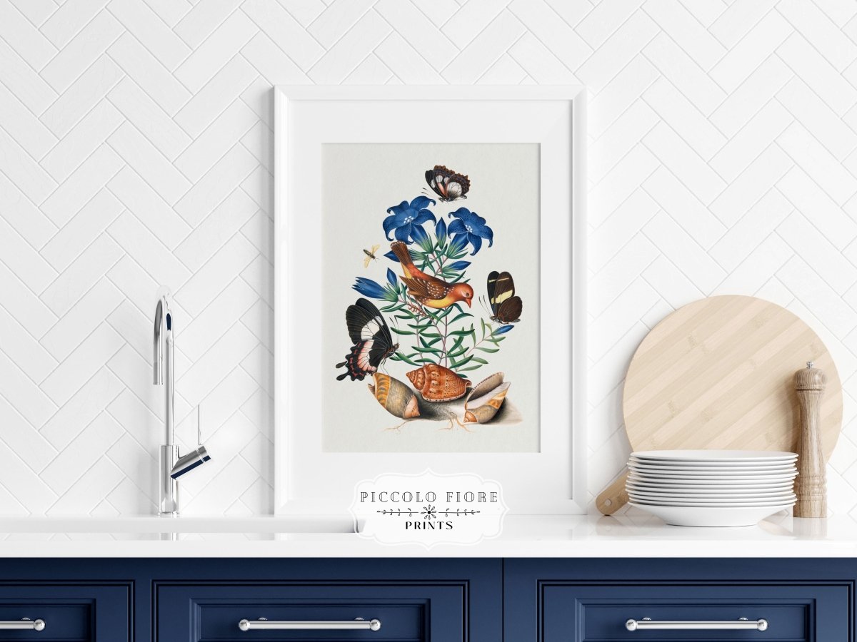 Bird, Shells and Butterflies | P158 - Single Art Prints - Piccolo Fiore Prints