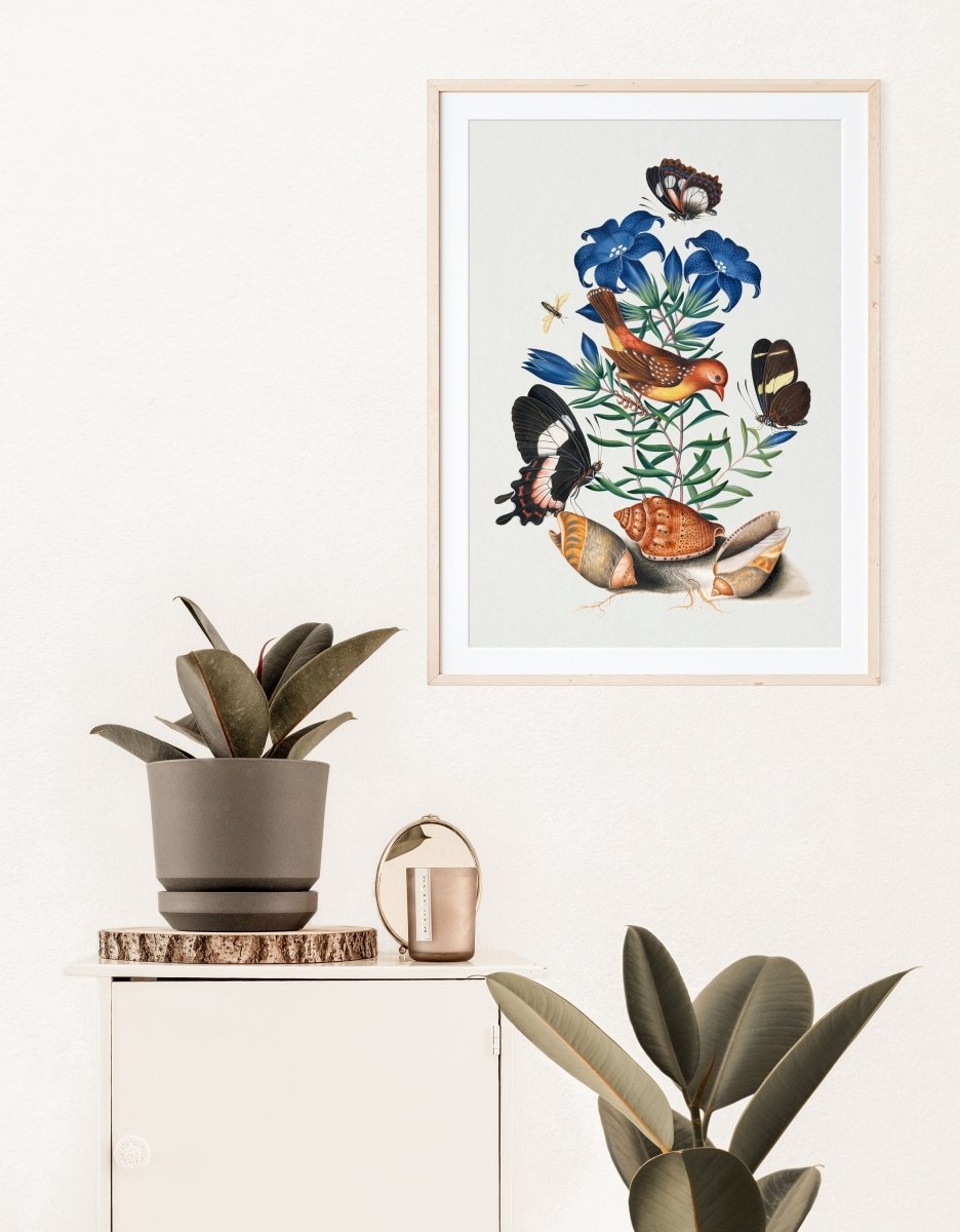 Bird, Shells and Butterflies | P158 - Single Art Prints - Piccolo Fiore Prints