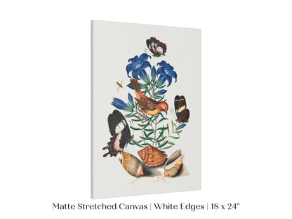 Bird, Shells and Butterflies | P158 - Single Art Prints - Piccolo Fiore Prints
