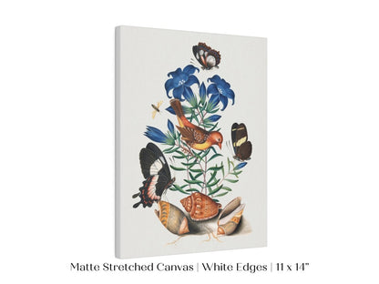 Bird, Shells and Butterflies | P158 - Single Art Prints - Piccolo Fiore Prints