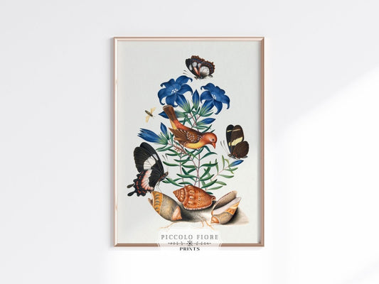 Bird, Shells and Butterflies | P158 - Single Art Prints - Piccolo Fiore Prints