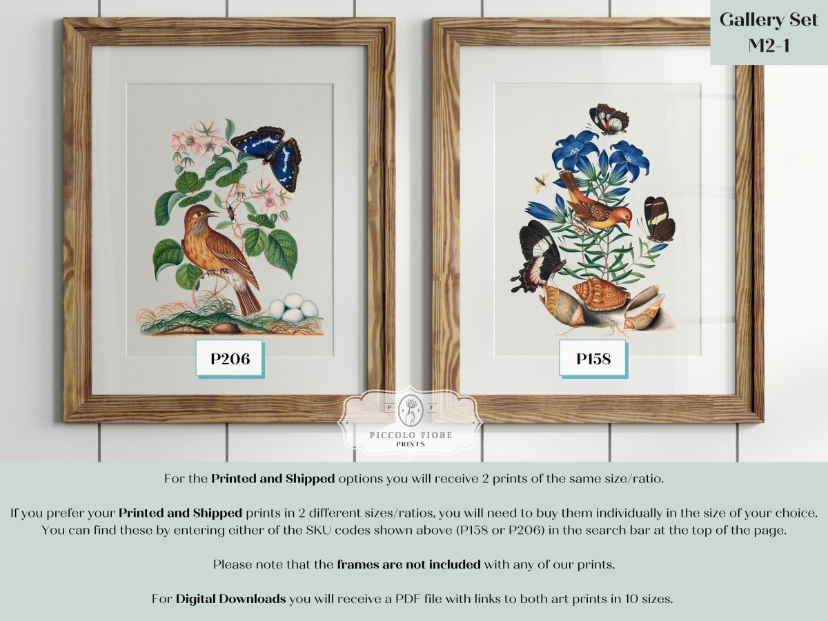 Birds and Butterflies | Gallery Wall Set | 2 Prints | M2 - 1 - Gallery Wall Set - Piccolo Fiore Prints