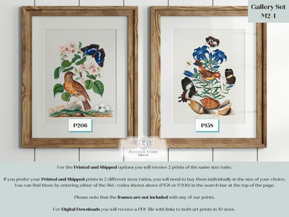 Birds and Butterflies | Gallery Wall Set | 2 Prints | M2 - 1 - Gallery Wall Set - Piccolo Fiore Prints