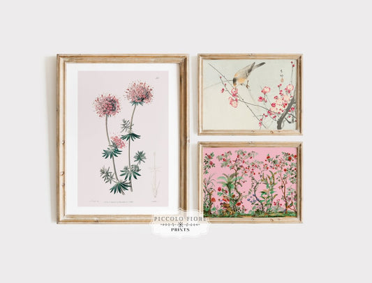 Birds and Flowers | 3 Gallery Wall Art Prints | M8 - 2.5 - Gallery Wall Set - Piccolo Fiore Prints