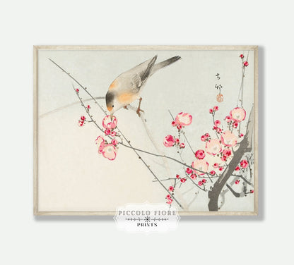 Birds and Flowers | Gallery Wall Set | 8 Prints | M8 - 2 - Gallery Wall Set - Piccolo Fiore Prints
