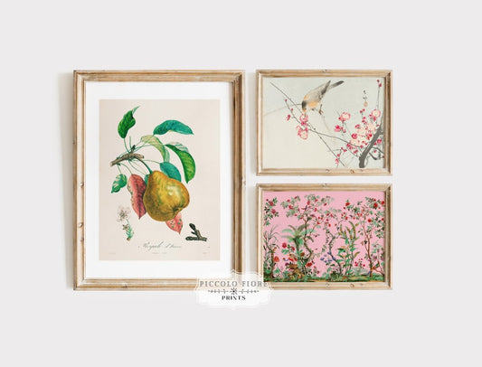 Birds, Flowers and Pear | Gallery Wall Set | 3 Prints | M8 - 2.6 - Gallery Wall Set - Piccolo Fiore Prints