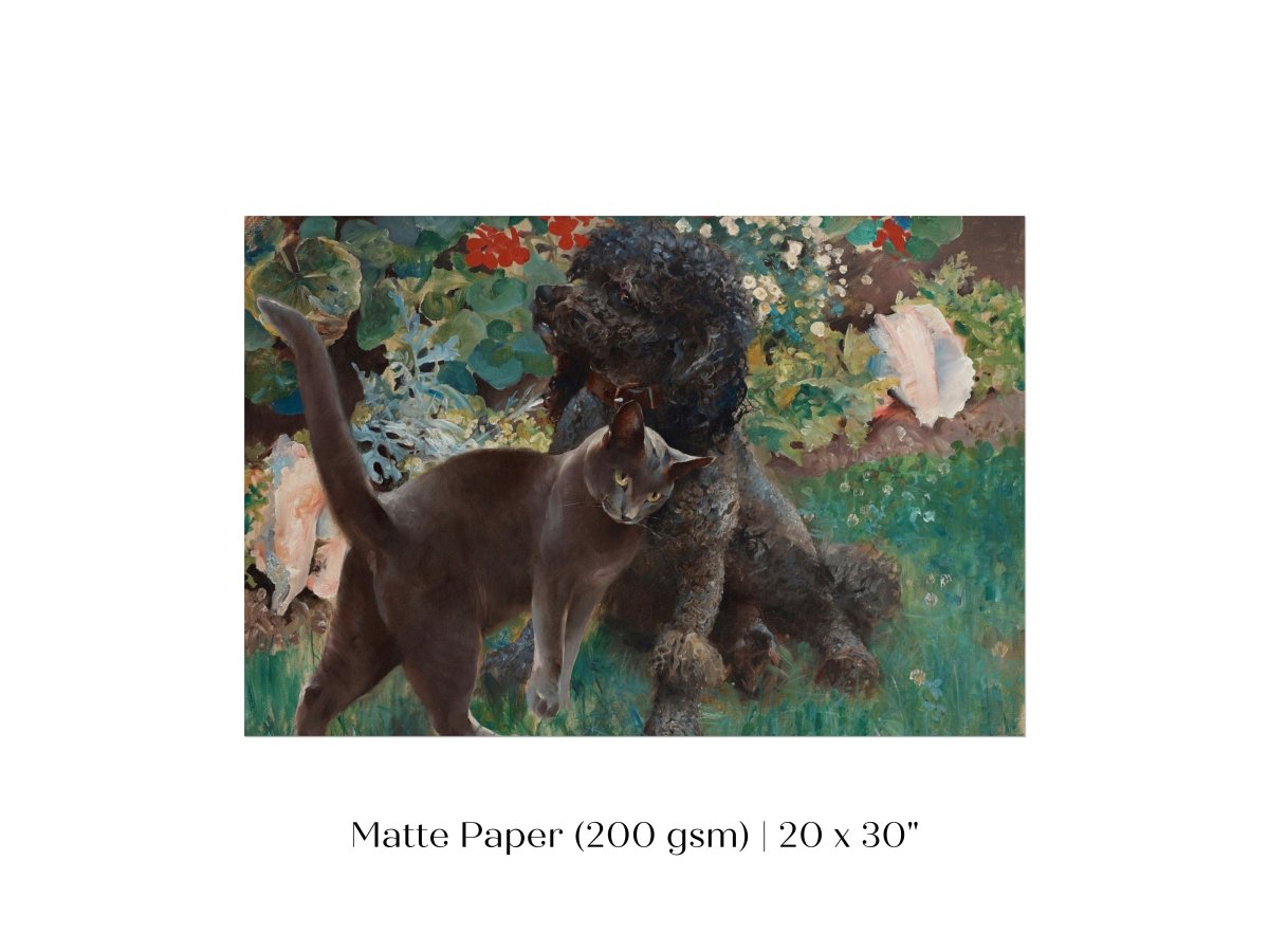 Black Cat and Poodle | P428 - Single Art Prints - Piccolo Fiore Prints