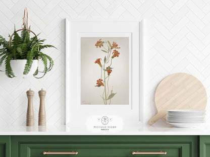 Blazing Star (Mentzelia laevicaulis) Floral Watercolour | P376 - Single Art Prints - Piccolo Fiore Prints