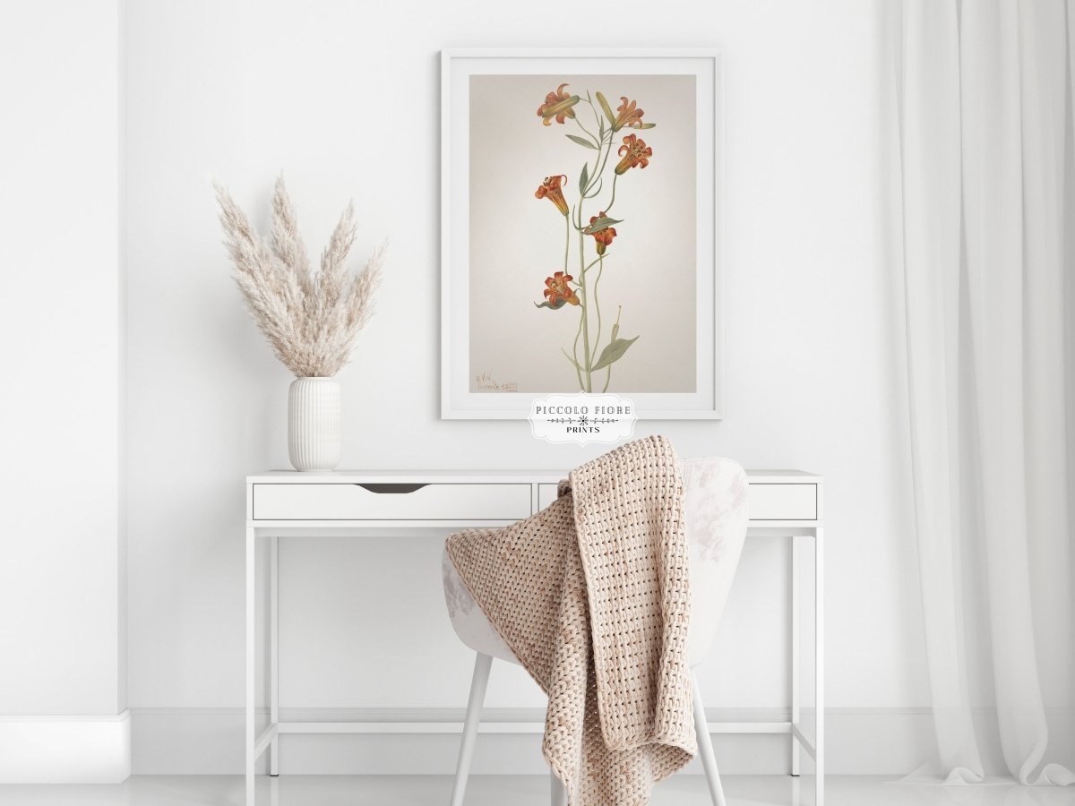 Blazing Star (Mentzelia laevicaulis) Floral Watercolour | P376 - Single Art Prints - Piccolo Fiore Prints