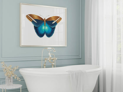 Blue and Brown Butterfly Illustration | P100 - Single Art Prints - Piccolo Fiore Prints