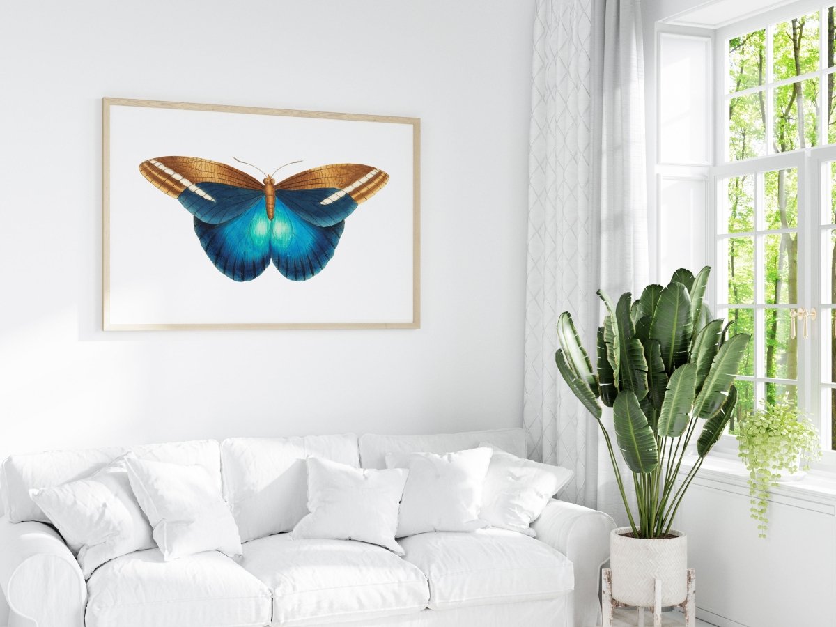 Blue and Brown Butterfly Illustration | P100 - Single Art Prints - Piccolo Fiore Prints