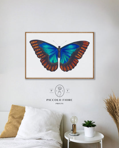 Blue and Cream | Gallery Wall Set | 5 Prints | S10 - 1.1 - Gallery Wall Set - Piccolo Fiore Prints
