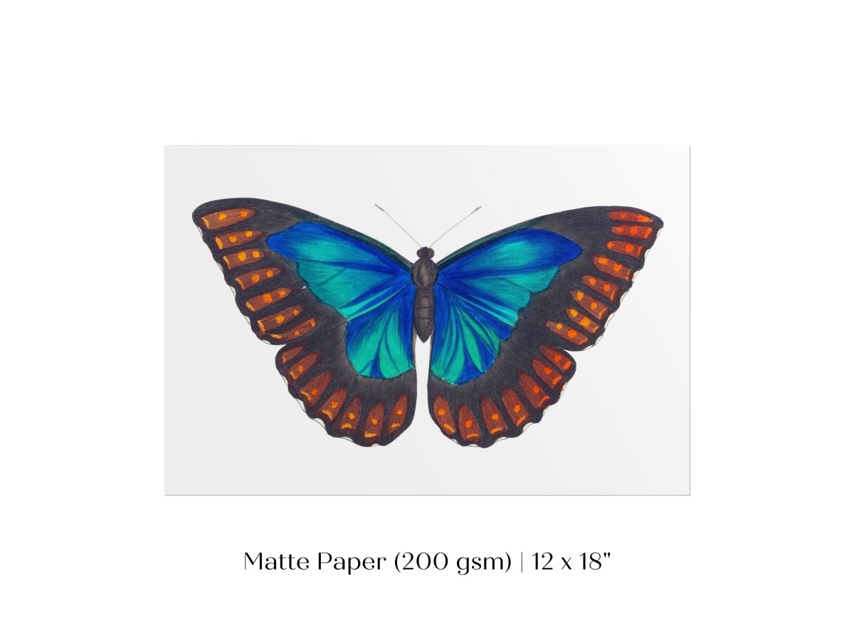 Blue and Turquoise Butterfly Illustration | P89 - Single Art Prints - Piccolo Fiore Prints