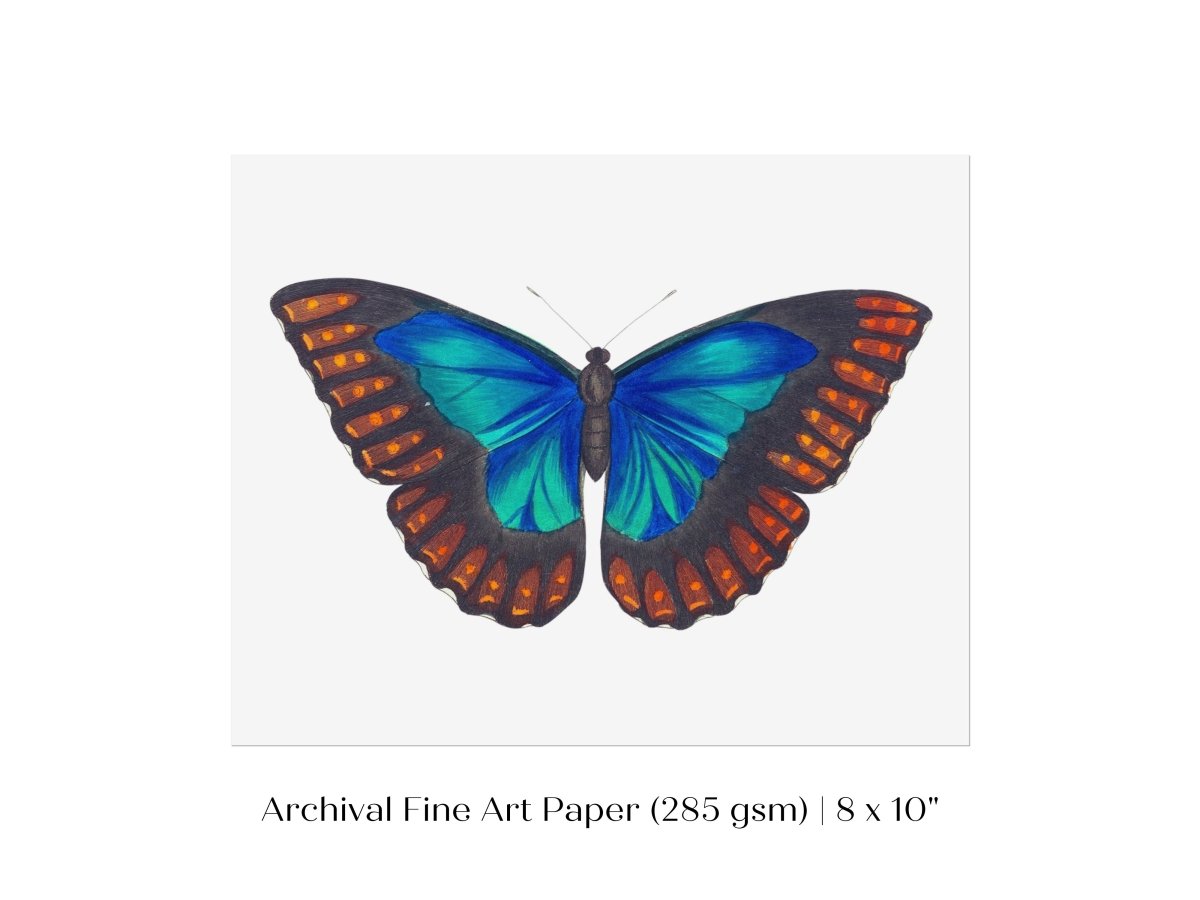Blue and Turquoise Butterfly Illustration | P89 - Single Art Prints - Piccolo Fiore Prints