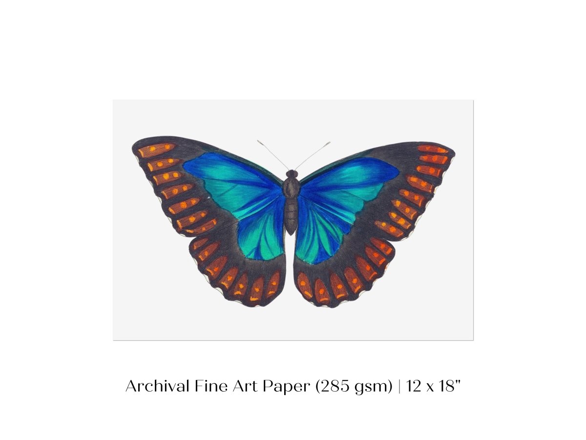 Blue and Turquoise Butterfly Illustration | P89 - Single Art Prints - Piccolo Fiore Prints