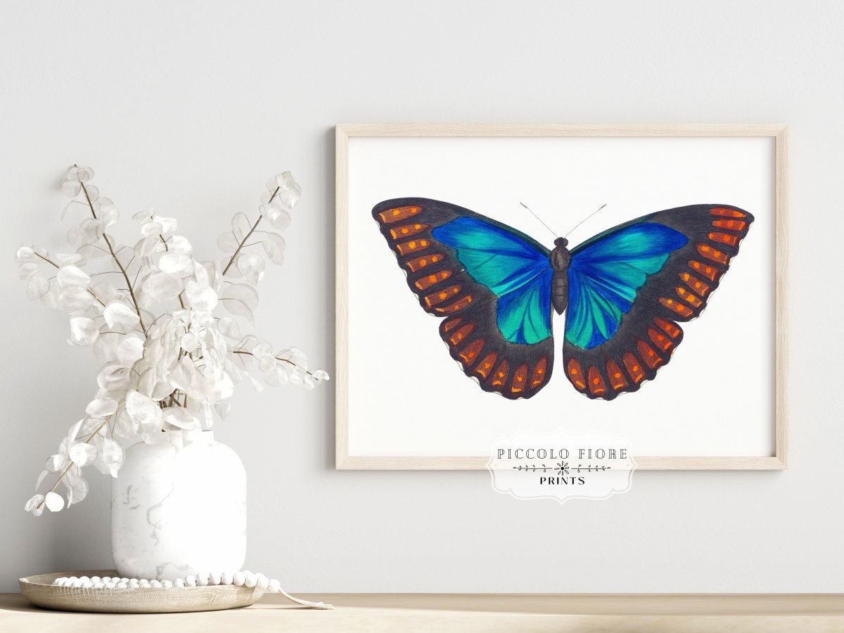 Blue and Turquoise Butterfly Illustration | P89 - Single Art Prints - Piccolo Fiore Prints