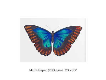 Blue and Turquoise Butterfly Illustration | P89 - Single Art Prints - Piccolo Fiore Prints