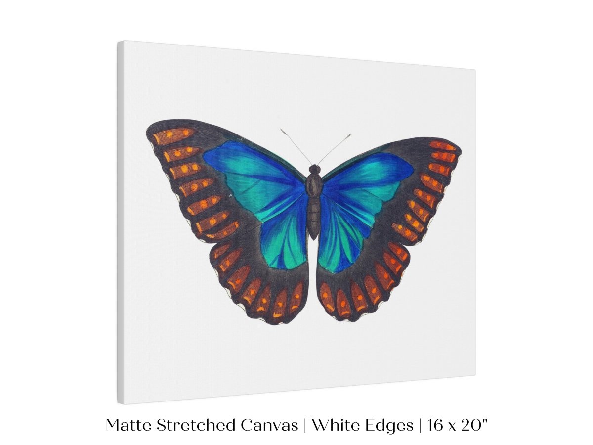 Blue and Turquoise Butterfly Illustration | P89 - Single Art Prints - Piccolo Fiore Prints