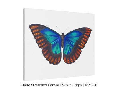 Blue and Turquoise Butterfly Illustration | P89 - Single Art Prints - Piccolo Fiore Prints