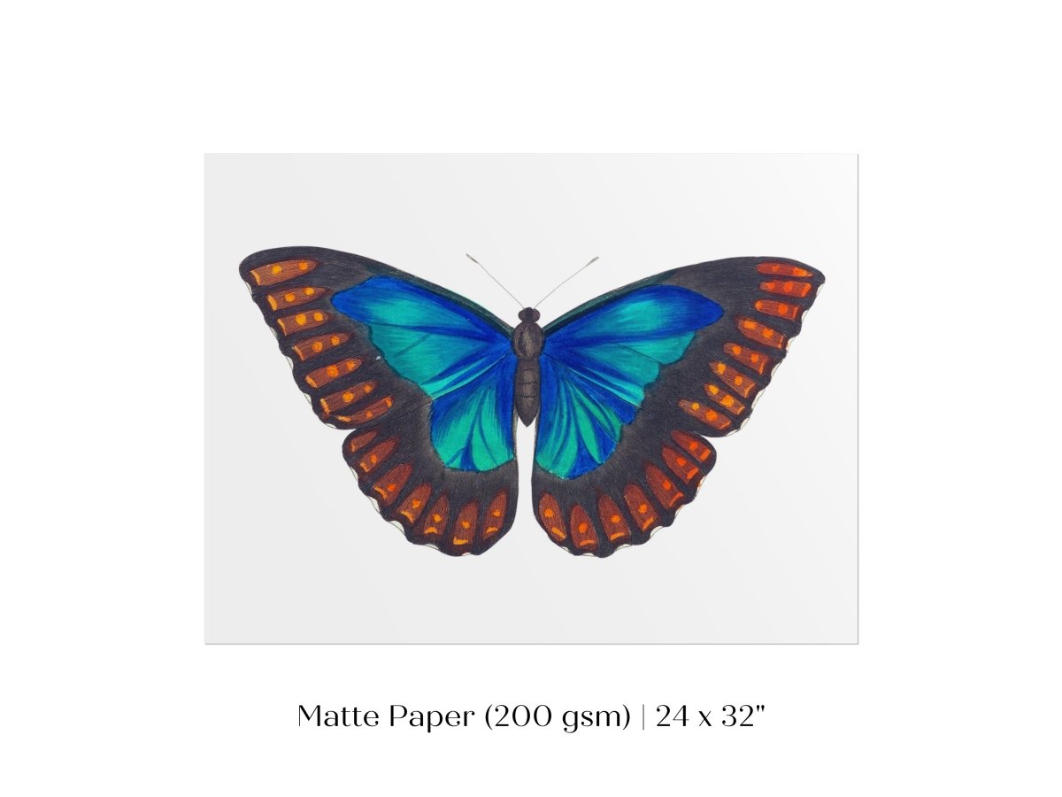 Blue and Turquoise Butterfly Illustration | P89 - Single Art Prints - Piccolo Fiore Prints