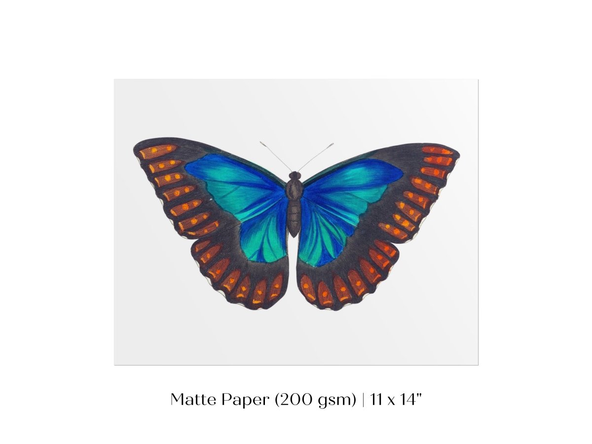 Blue and Turquoise Butterfly Illustration | P89 - Single Art Prints - Piccolo Fiore Prints