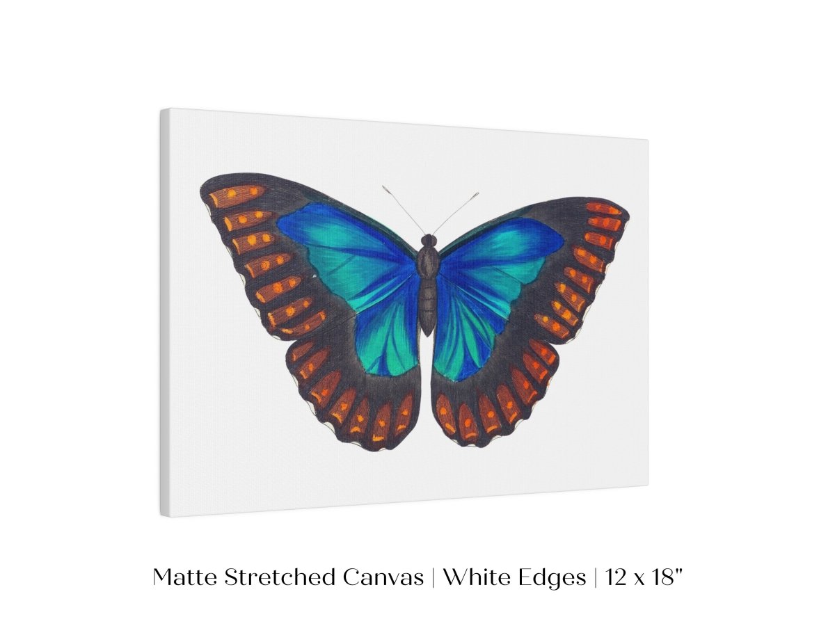 Blue and Turquoise Butterfly Illustration | P89 - Single Art Prints - Piccolo Fiore Prints