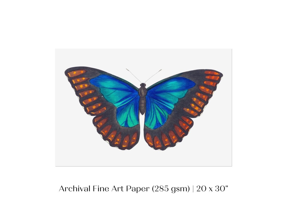 Blue and Turquoise Butterfly Illustration | P89 - Single Art Prints - Piccolo Fiore Prints