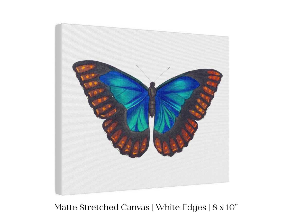 Blue and Turquoise Butterfly Illustration | P89 - Single Art Prints - Piccolo Fiore Prints