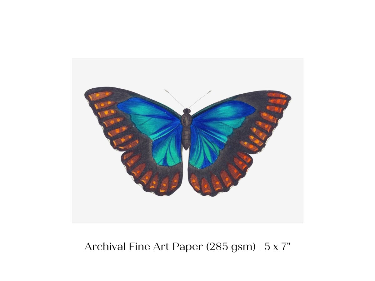 Blue and Turquoise Butterfly Illustration | P89 - Single Art Prints - Piccolo Fiore Prints