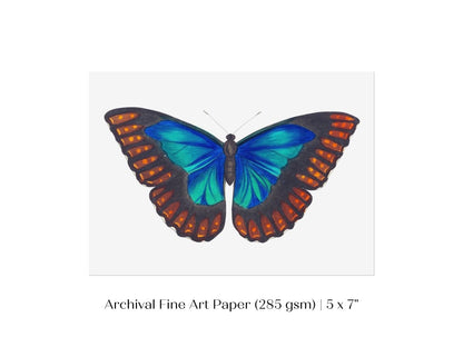 Blue and Turquoise Butterfly Illustration | P89 - Single Art Prints - Piccolo Fiore Prints