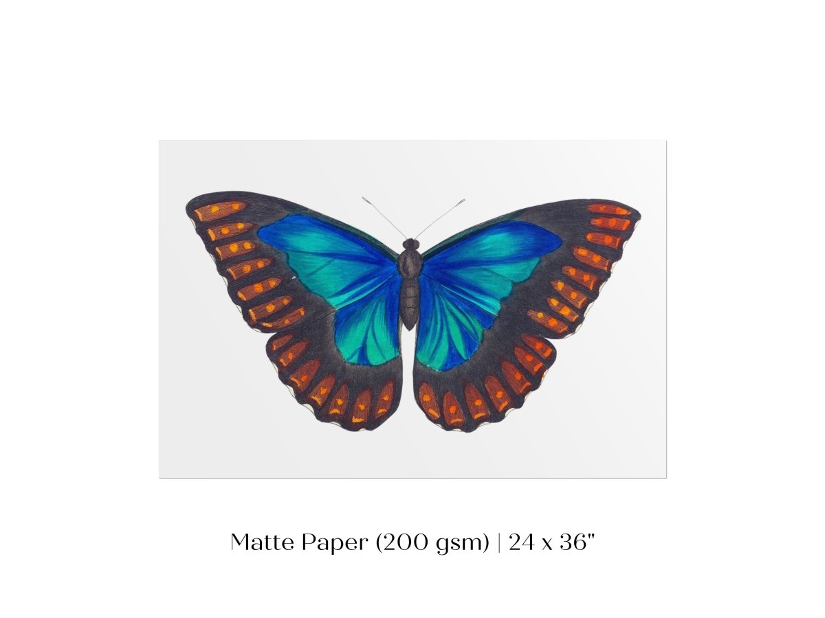 Blue and Turquoise Butterfly Illustration | P89 - Single Art Prints - Piccolo Fiore Prints