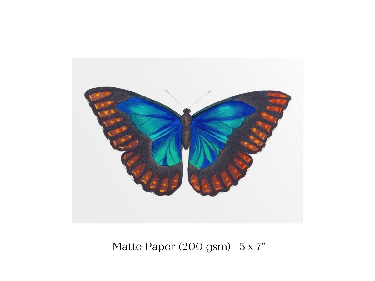 Blue and Turquoise Butterfly Illustration | P89 - Single Art Prints - Piccolo Fiore Prints
