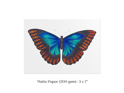 Blue and Turquoise Butterfly Illustration | P89 - Single Art Prints - Piccolo Fiore Prints