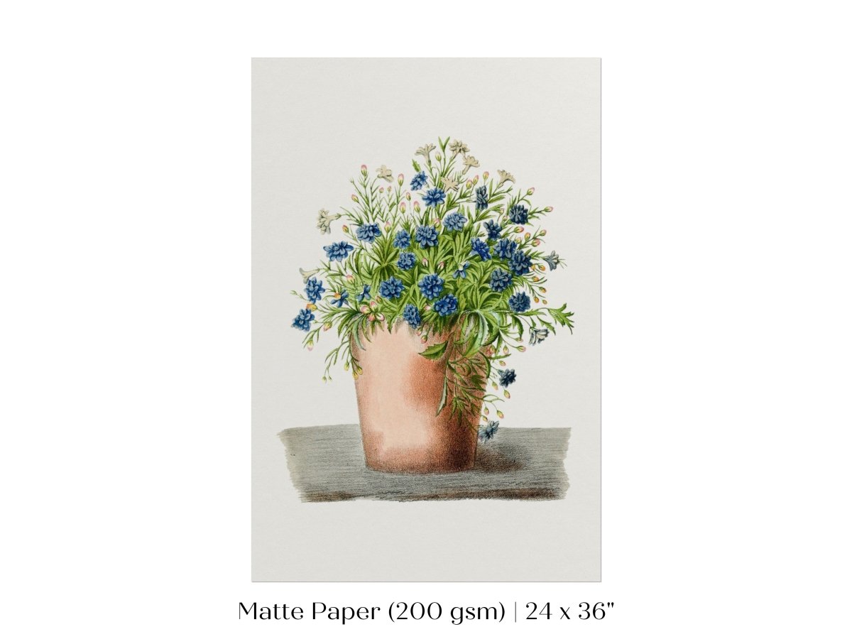 Blue Garden Lobelia in a Pot | P160 - Single Art Prints - Piccolo Fiore Prints