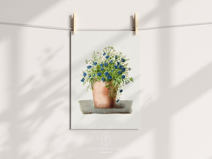 Blue Garden Lobelia in a Pot | P160 - Single Art Prints - Piccolo Fiore Prints