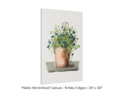 Blue Garden Lobelia in a Pot | P160 - Single Art Prints - Piccolo Fiore Prints