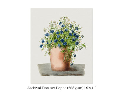Blue Garden Lobelia in a Pot | P160 - Single Art Prints - Piccolo Fiore Prints