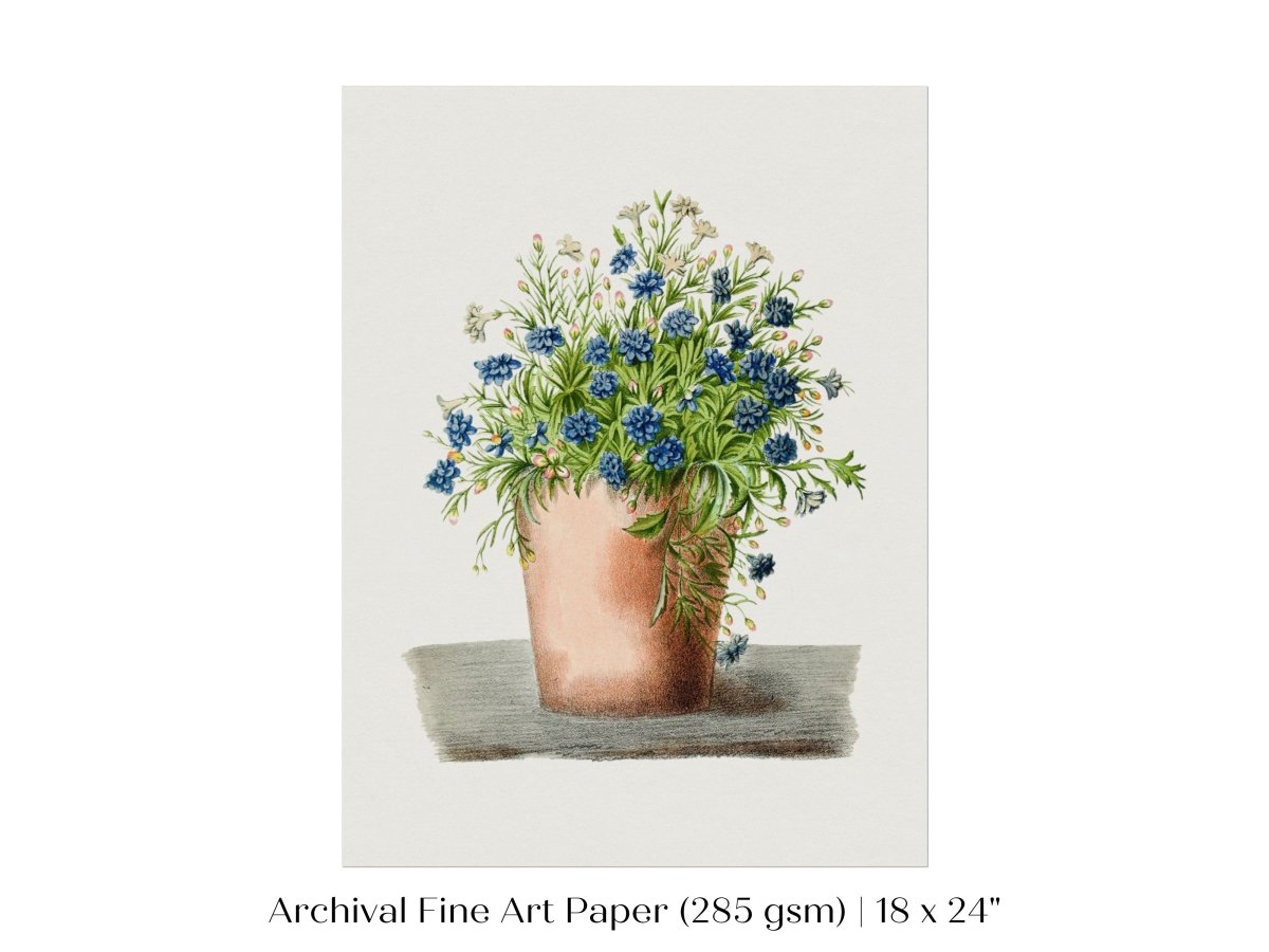 Blue Garden Lobelia in a Pot | P160 - Single Art Prints - Piccolo Fiore Prints