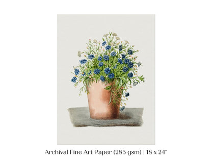Blue Garden Lobelia in a Pot | P160 - Single Art Prints - Piccolo Fiore Prints