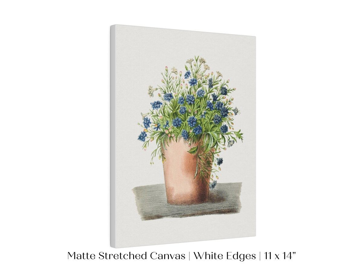 Blue Garden Lobelia in a Pot | P160 - Single Art Prints - Piccolo Fiore Prints