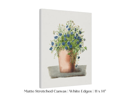 Blue Garden Lobelia in a Pot | P160 - Single Art Prints - Piccolo Fiore Prints