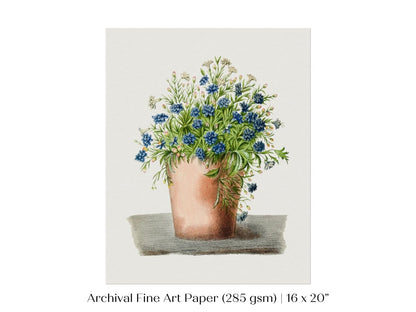 Blue Garden Lobelia in a Pot | P160 - Single Art Prints - Piccolo Fiore Prints