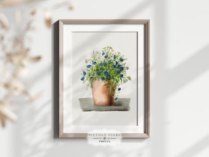 Blue Garden Lobelia in a Pot | P160 - Single Art Prints - Piccolo Fiore Prints