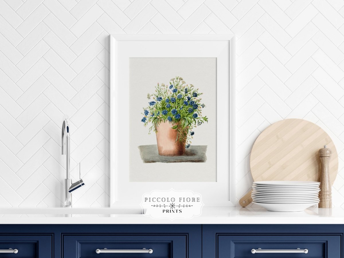 Blue Garden Lobelia in a Pot | P160 - Single Art Prints - Piccolo Fiore Prints