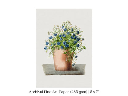 Blue Garden Lobelia in a Pot | P160 - Single Art Prints - Piccolo Fiore Prints
